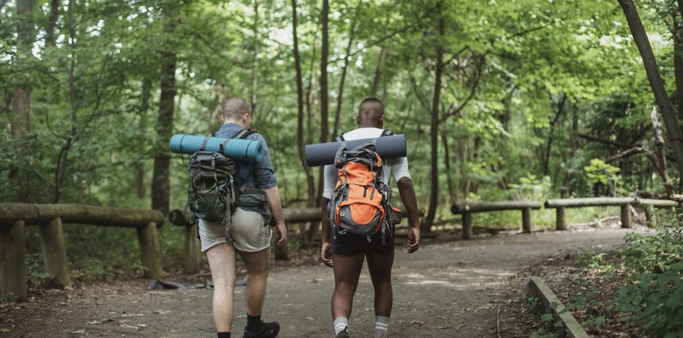 Full body back view of multiethnic travelers in casual clothing with big backpacks walking on wide road along simple wooden fence surrounded by tall verdant trees in summertime