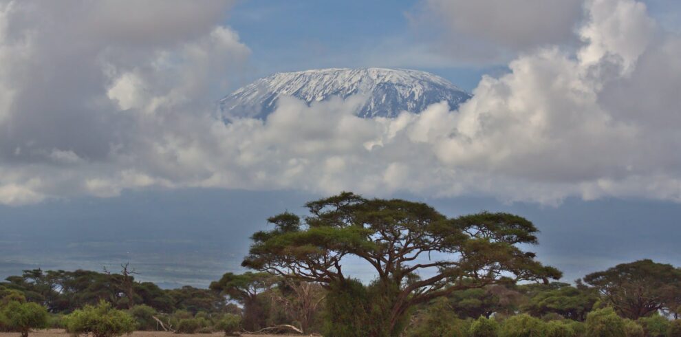 view of mount kilimanjaro, the highest mountain of africa, showing snow capped uhuru peak from amboseli national park, kenya
